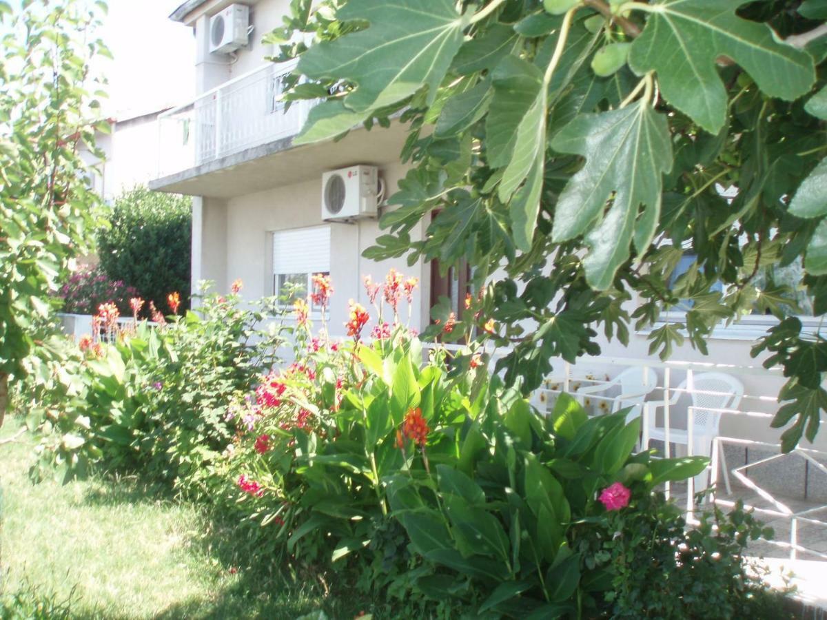 Apartment Antonija Senj (Lika-Senj) Exterior photo